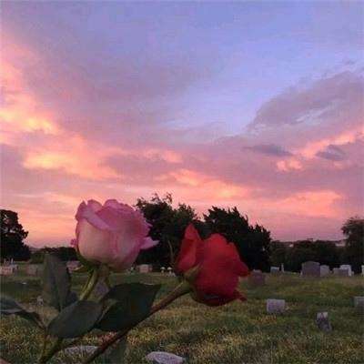 众发体育app娱乐手机版